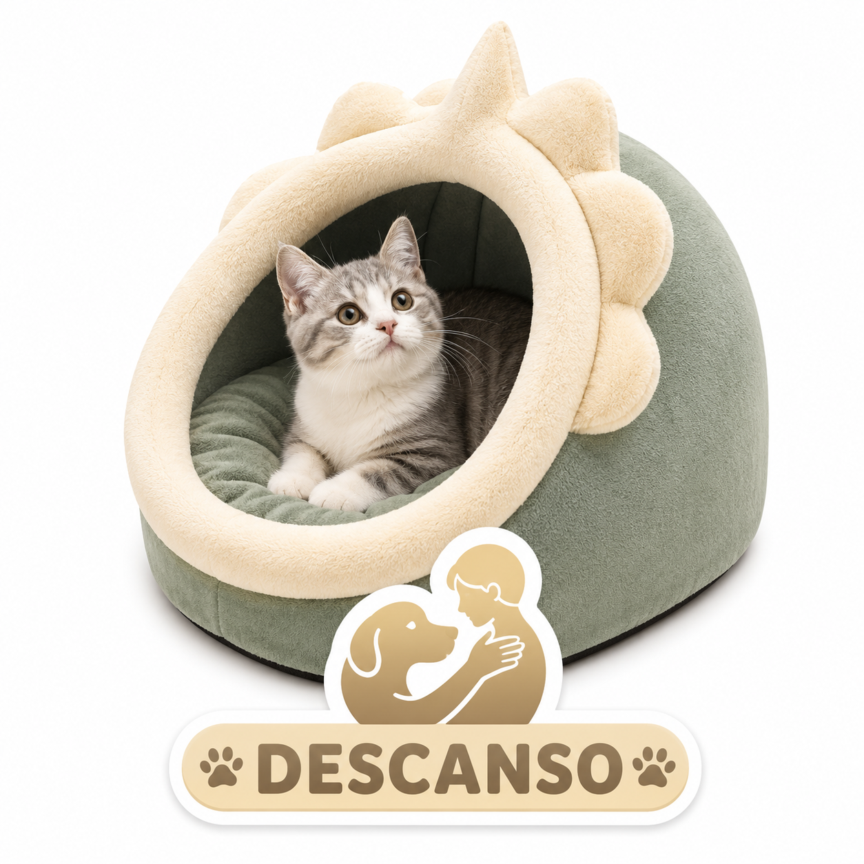 DESCANSO
