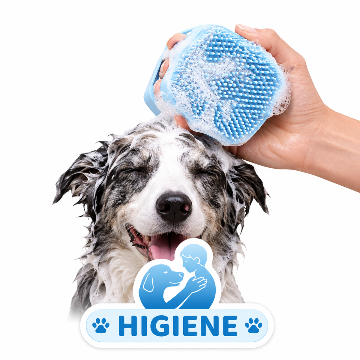 HIGIENE