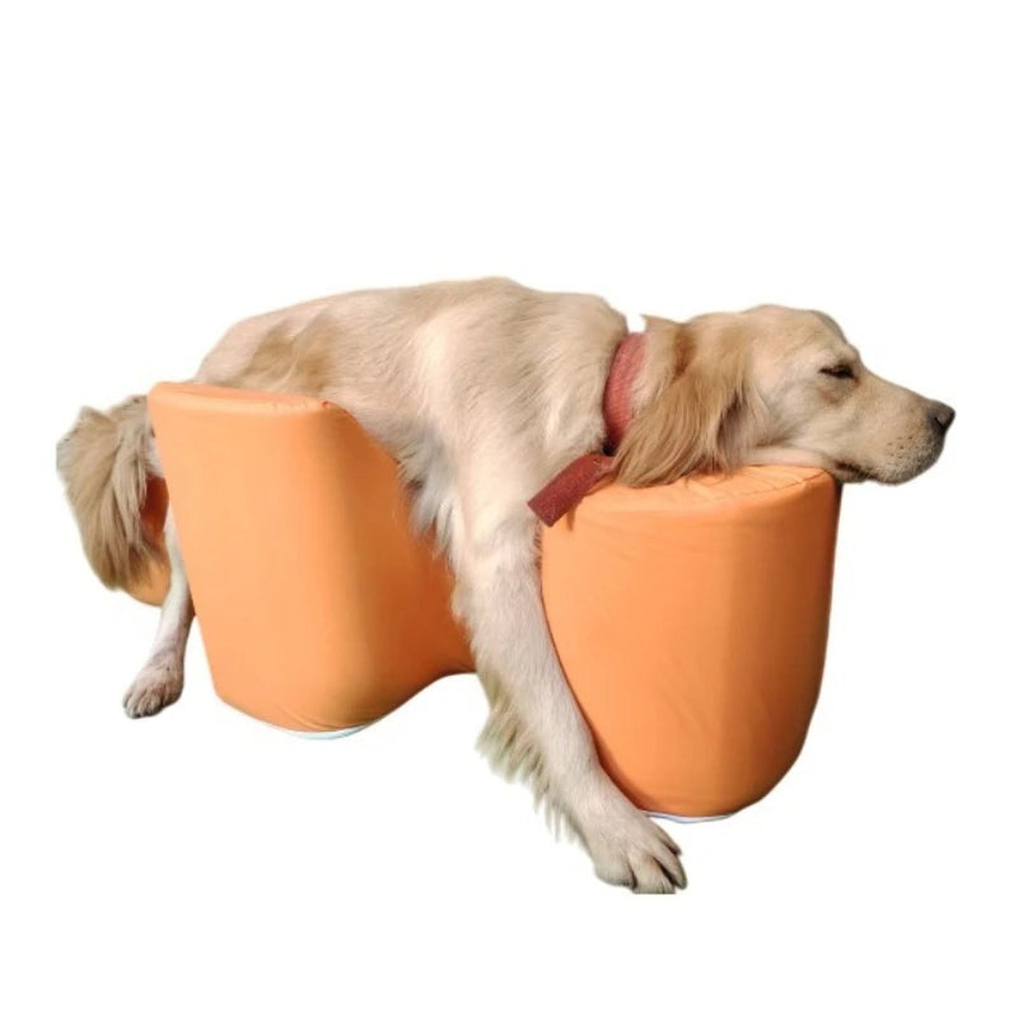 Cama de descanso y recuperación para perros senior - vista 3