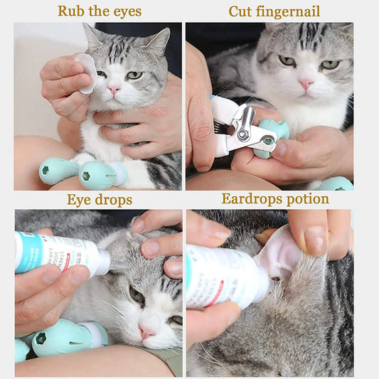 Protectores antiarañazos de silicona para patas de gato - vista 2
