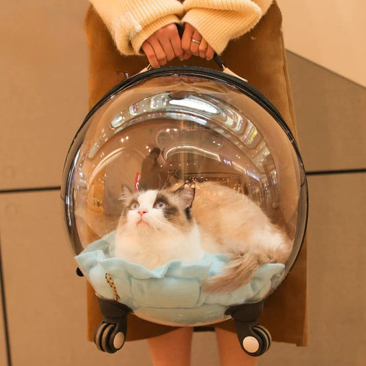 Transportín con ruedas y cabina transparente para gatos - vista 2