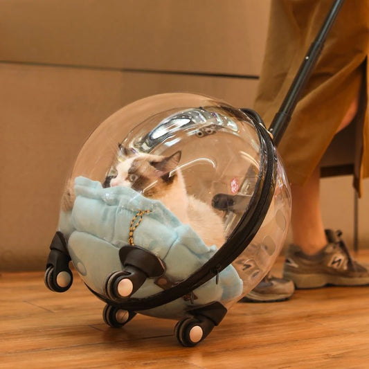 Transportín con ruedas y cabina transparente para gatos