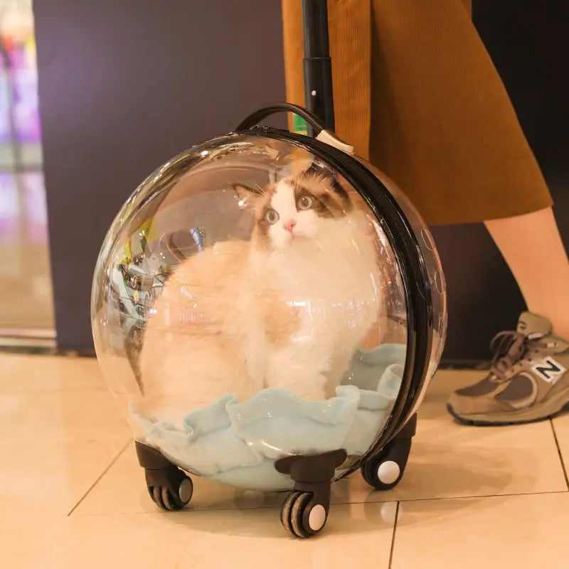 Transportín con ruedas y cabina transparente para gatos - vista 3