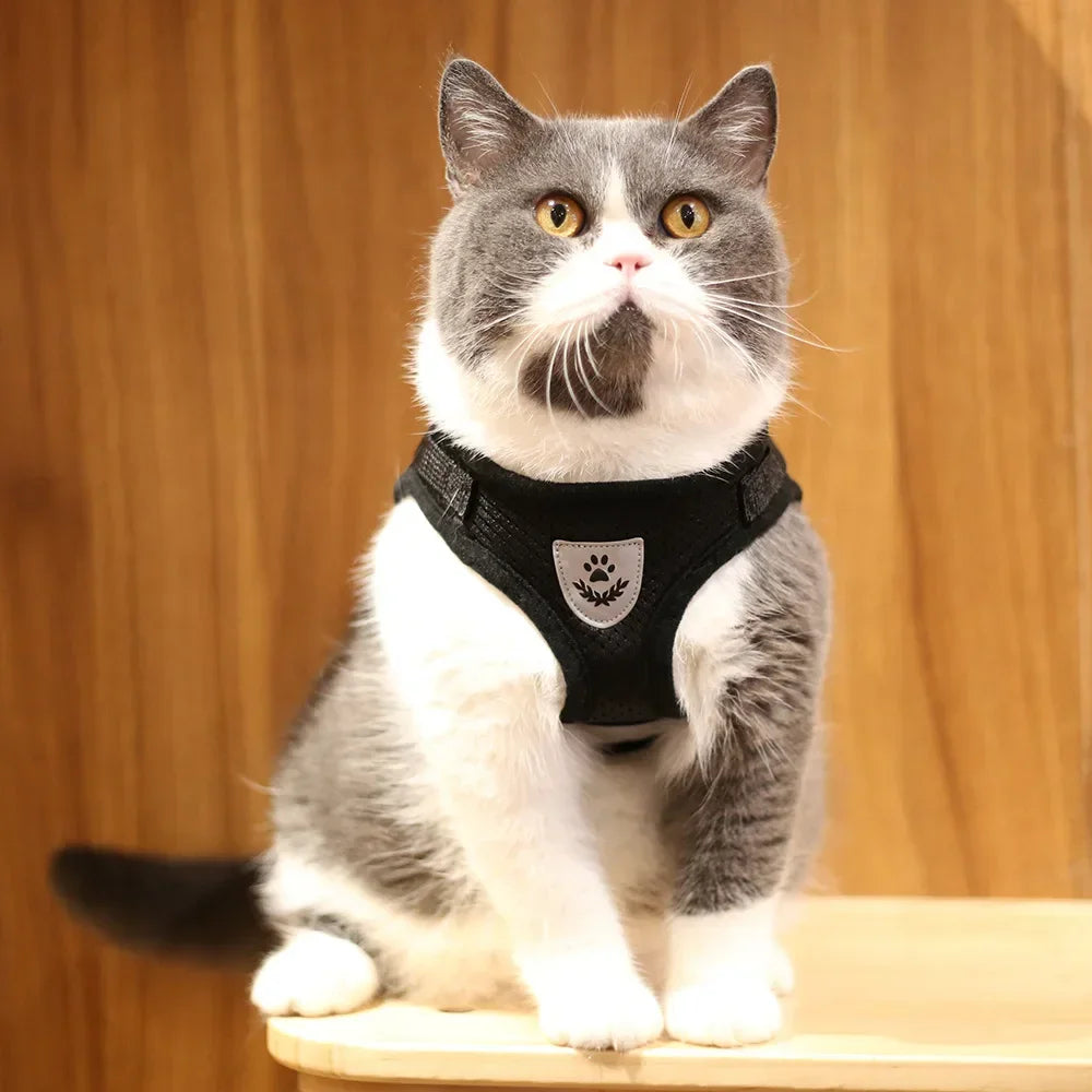 Arnés antiescape de malla para gatos y perros pequeños - vista 5